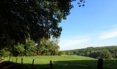 Trail On foot Chaumont-Gistoux - #181126 - Bonlez, Bois et réserve naturelle de l'Étoile *** - Photo 4