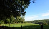 Tour Zu Fuß Chaumont-Gistoux - #181126 - Bonlez, Bois et réserve naturelle de l'Étoile *** - Photo 4