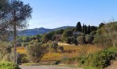 Trail Walking Sanary-sur-Mer - trail La Gorguette au Petit Cerveau - Photo 7