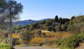 Randonnée Marche Sanary-sur-Mer - trail La Gorguette au Petit Cerveau - Photo 7