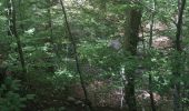 Trail Walking Serres - Serres Cardou  - Photo 2