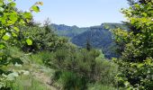 Trail Walking Mont-Dore - Première randonnée dans le Sancy - Photo 18