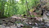 Randonnée Marche nordique Aywaille - trek2306 remouchamps . ninglinspo . Vert-Buisson . berinzenne . source sauveniere . niveze . sart . royonpré . polleur . chawion . theux . hodbomont . forestia . remouchamps  - Photo 18