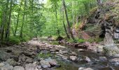 Tocht Noords wandelen Aywaille - trek2306 remouchamps . ninglinspo . Vert-Buisson . berinzenne . source sauveniere . niveze . sart . royonpré . polleur . chawion . theux . hodbomont . forestia . remouchamps  - Photo 18