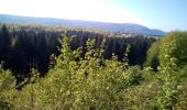 Tour Wandern Besançon - Forêt de CHAILLUZ  - Photo 3