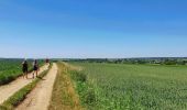 Excursión Senderismo Merbes-le-Château - De Merbes-le-Château à Labuissière - Photo 3