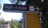 Tocht Stappen Morgex - Lac d’Arpy  - Photo 14