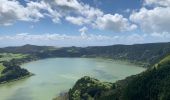 Tour Wandern Furnas - Pico Furnas - Photo 1