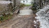 Tocht Stappen Stavelot - SityTrail - Extratrail_stavelot_13km_new - Photo 8