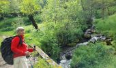 Tocht Stappen Le Puy-en-Velay - live Le Puy en velay - Saint Privat - Photo 9