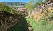 Randonnée Marche Chessy - Pierres-Dorées_Chessy=>Bois-Baron=>Chambonne=>Les-Carrières - Photo 16