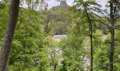 Tocht Stappen Murol - Tour du Tartaret - Photo 6