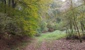 Excursión Bici de montaña Mamer - De Capellen à Virton - Photo 20