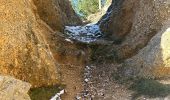 Trail  Die - Val croissant comptoir des moutons - Photo 8