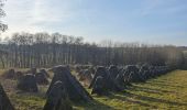 Tour Wandern Simmerath - A la découverte de Lammersdorf 🥾 - Photo 1