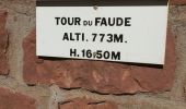 Tocht Stappen Lapoutroie - La tour du Faudé - Les Alisiers - Photo 7