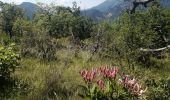 Excursión Senderismo La Chaudière - Le mont faraud - Photo 8