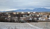 Excursión A pie okres Liptovský Mikuláš - Náučný chodník k minerálnemu prameňu - Photo 4