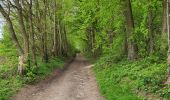 Trail Walking Andenne - Maizeret 120424  - Photo 10