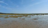Trail Walking Le Crotoy - balade baie de somme - Photo 18