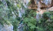 Excursión Senderismo Posada de Valdeón - Cain gorges de Cares(petit À/R) - Photo 10