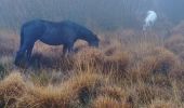 Excursión Senderismo Rosis - Caroux dans le brouillard  - Photo 3