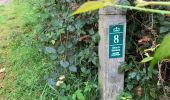 Excursión Senderismo Tervuren - Arboretum tra Nuovo e Vecchio mondo (castanea dentata) - Photo 13