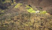 Excursión A pie Codlea - Codlea - Cetatea Neagră - Photo 6