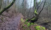 Randonnée Marche Chaudfontaine - entre beaufays et prayon - Photo 9