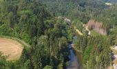 Tour Wandern Cour-Saint-Maurice - battenans - Photo 1