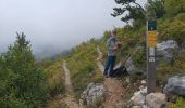Trail Walking Le Gua - Prelenfrey-Pas de loeille - Photo 11