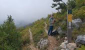 Tour Wandern Le Gua - Prelenfrey-Pas de loeille - Photo 11