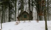 Percorso A piedi Pelago - Sentiero 0 – da Passo della Consuma a Croce al Cardeto - Photo 7