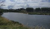 Tour Wandern Tavers - Balade Tavers-Beaugency  - Photo 4