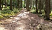 Randonnée Marche Amblève - La rivière d'or (9km) - Photo 12