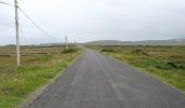 Tocht Te voet Westport-Belmullet Municipal District - Slí Tóin a' tSeanbhaile / Valley Loop Walk - Photo 10