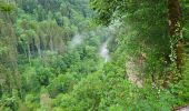 Excursión Senderismo Blumberg - Cascade Schleifenbach et gorges de Wutach - Photo 16