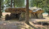 Tour Wandern Mettray - Mettray - Sentier de la Grotte aux Fées  - Photo 16