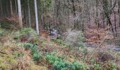 Trail Walking Wellin - Daverdisse 040124 - Photo 9