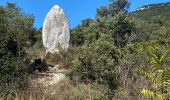 Tour Rennrad Saint-Hippolyte-du-Fort - St hippolyte Sumène  - Photo 8