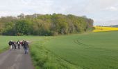Trail Walking Nesles-la-Vallée - Nesles Labbevile - Photo 2