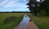 Tocht Stappen Marlhes - petit tour depuis l'airellier du pilat - Photo 5