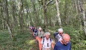 Trail Walking Vougeot - Vougeot Citeaux - Photo 5