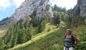 Trail Walking La Roche-sur-Foron - GLIERES / BORNES: LE CHESNET - SUR COU - COL DU FREU - Photo 10