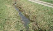 Percorso A piedi Berkatal - Rundweg Großer Marstein und Hielöcher - Photo 2