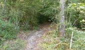 Excursión Senderismo Charens - Montagne de Tarsimoure - Charens  - Photo 11