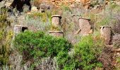 Excursión Senderismo La Garde-Freinet - SityTrail - Fort Freinet-la Garde-Freinet-02-06-23 - Photo 18