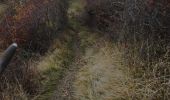 Tocht Stappen Bourdeaux - col de Boutière 1 - Photo 3