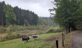 Randonnée Marche Jalhay - sart . croupets du moulin . royonpré . retour via l autre rive  - Photo 4