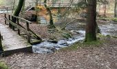Trail Walking Monschau - Monschau  - Photo 3